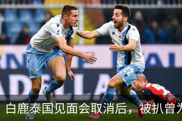 白鹿泰国见面会取消后，被扒曾为缅北拍宣传片，知情人爆更多内幕